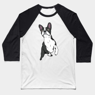 Boston Terrier Time! Baseball T-Shirt